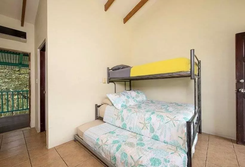 Hotelli Diversion Tropical