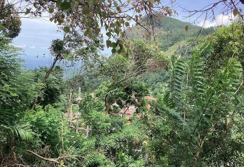 Pension Viewfront Ella