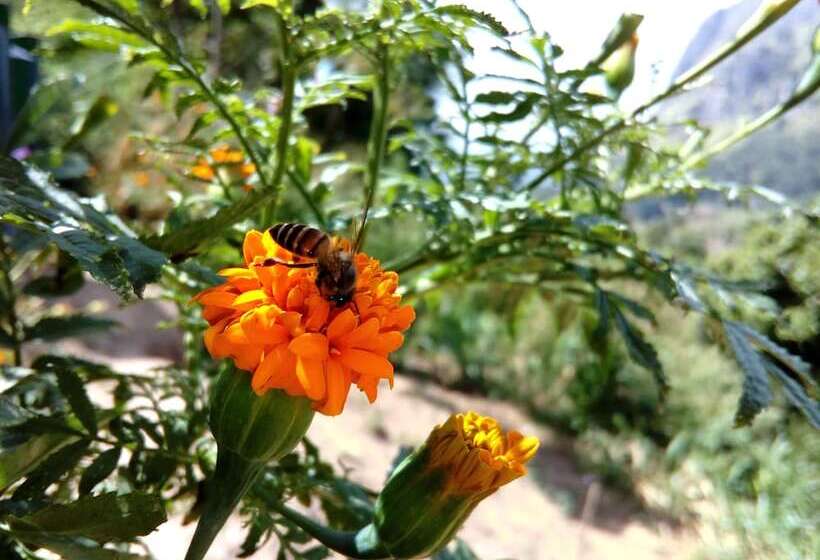 Pensionat Viewfront Ella