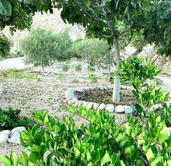 Summer House Collection