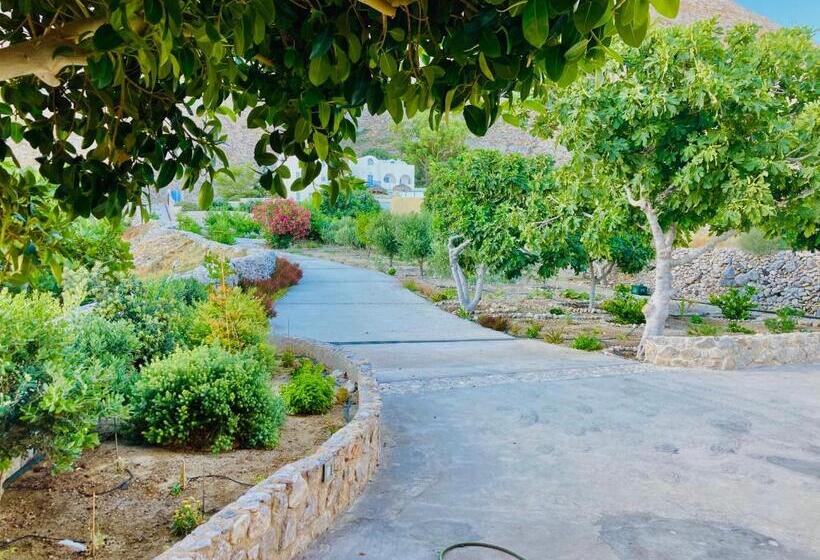 Summer House Collection