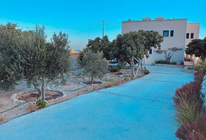 Summer House Collection