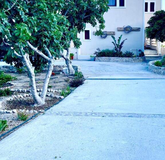 Summer House Collection