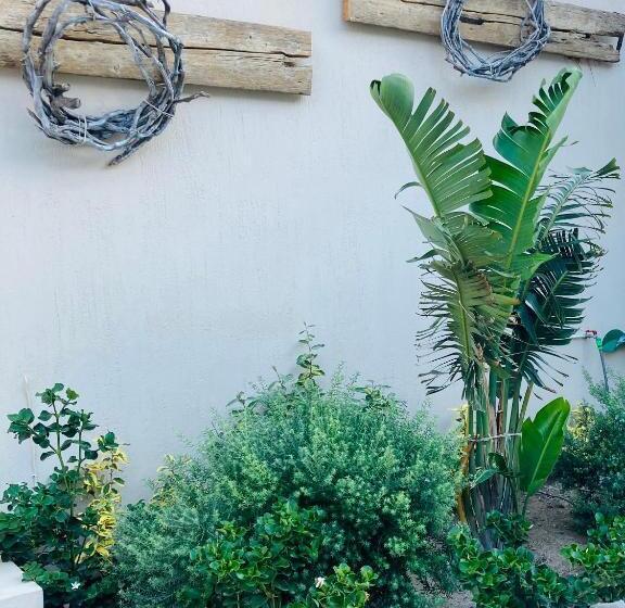 Summer House Collection