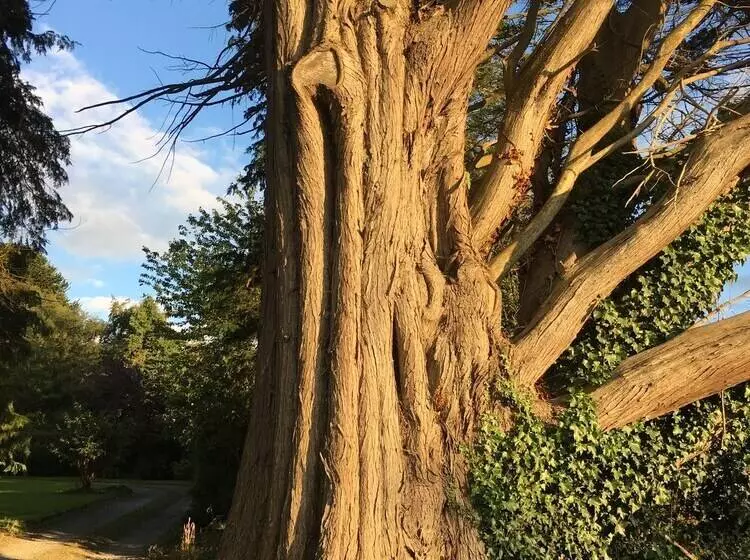 Aamiaismajoitus (B&B) Clone Country House