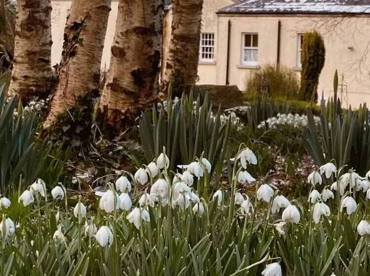 Aamiaismajoitus (B&B) Clone Country House