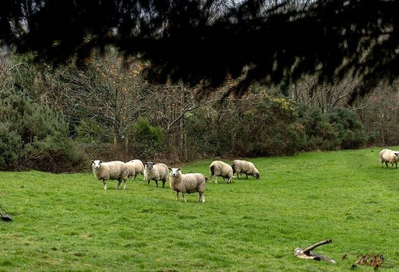 צימר Clone Country House