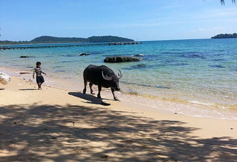 בית מלון כפרי Tree House Bungalows