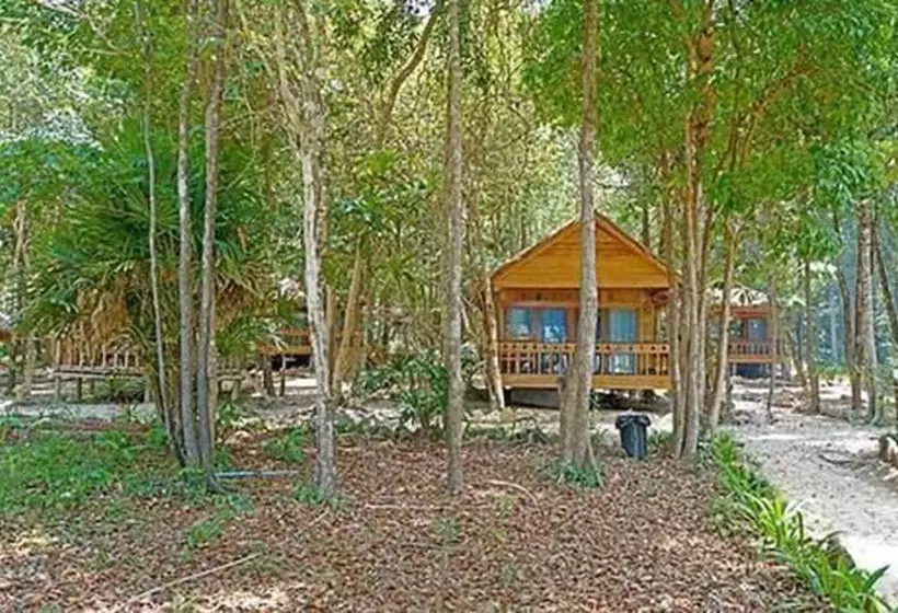 Hotelli Tree House Bungalows