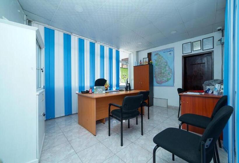 Pensão Dazzling Villa