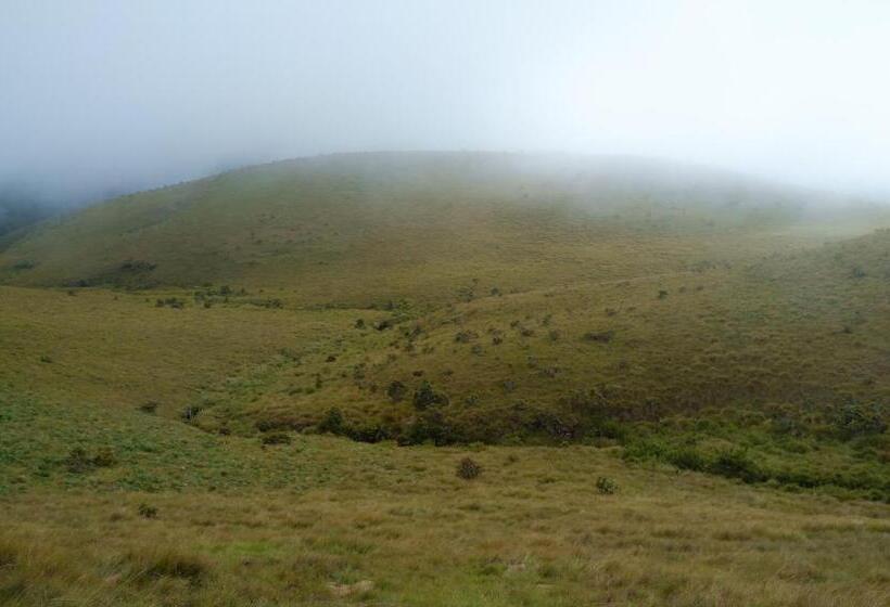 Pensão Dazzling Villa