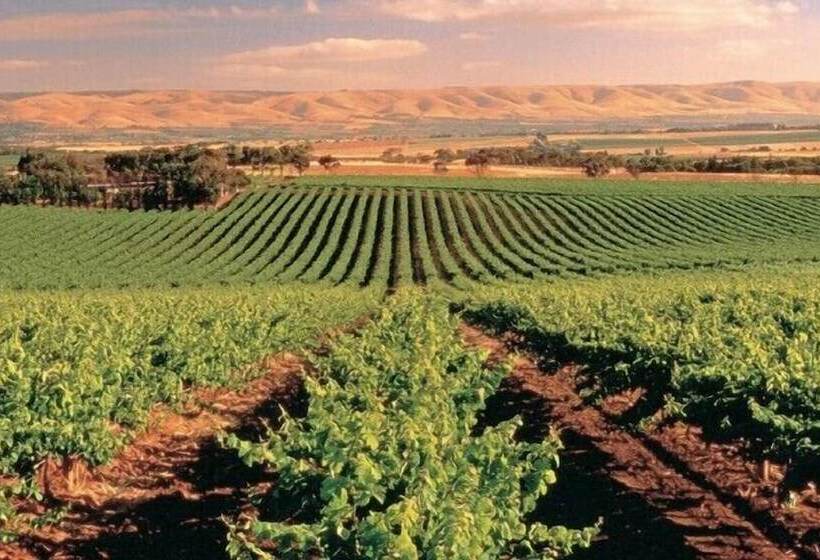 הוסטל Mclaren Vale Backpackers