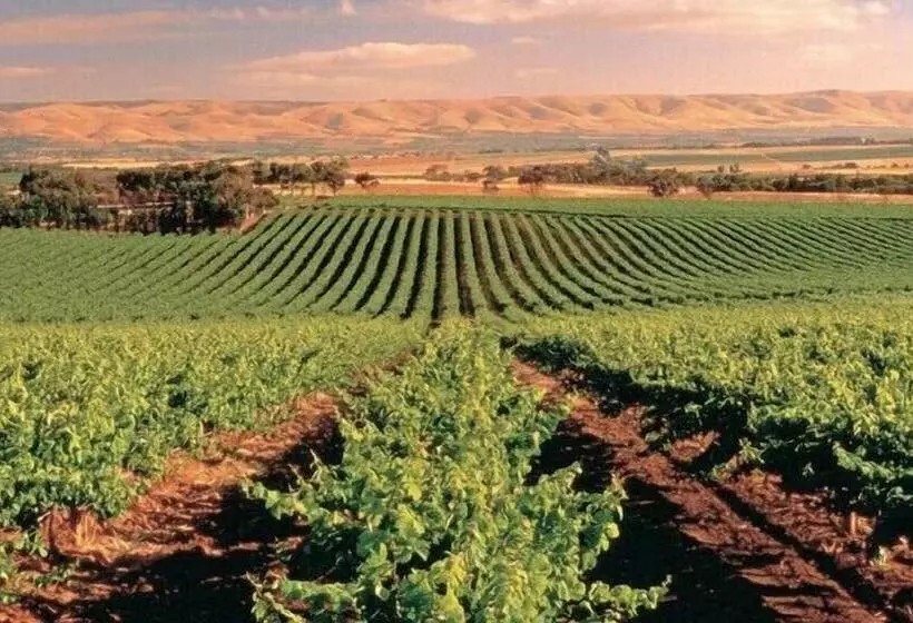 Retkeilymaja Mclaren Vale Backpackers