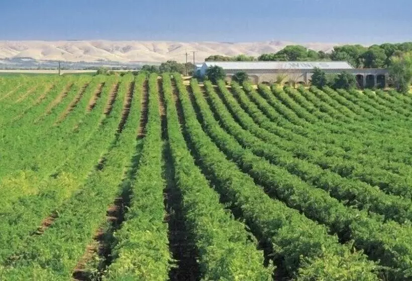 Retkeilymaja Mclaren Vale Backpackers