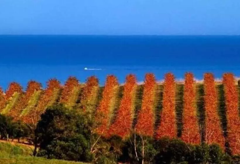 Retkeilymaja Mclaren Vale Backpackers