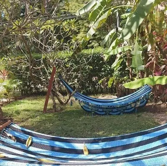 Aloha Surf Nosara