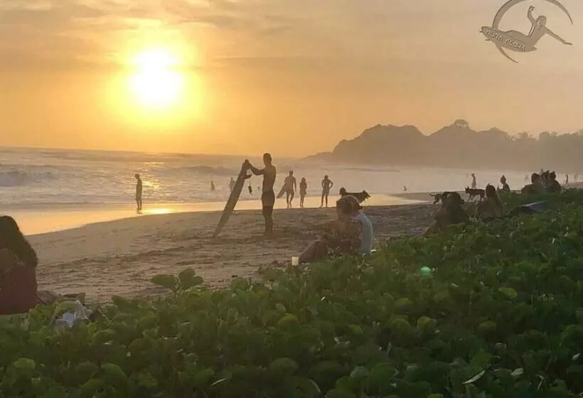 Aloha Surf Nosara