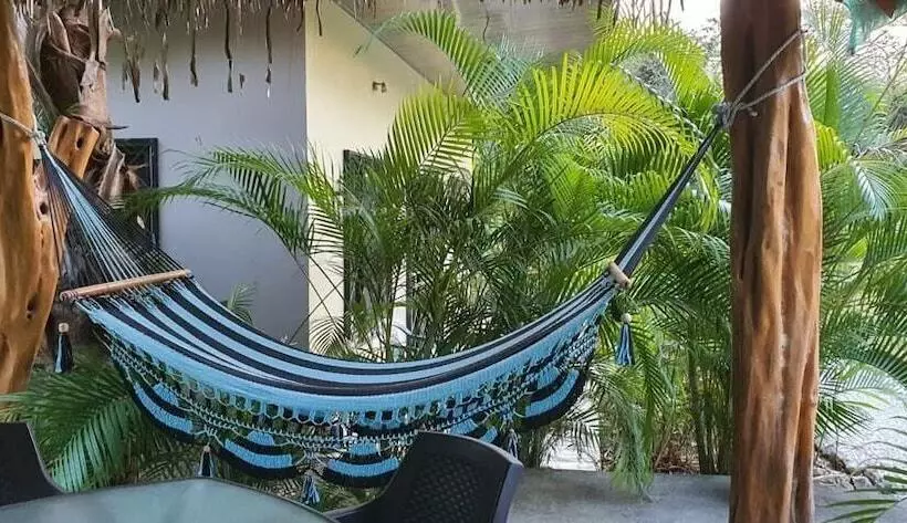 Aloha Surf Nosara