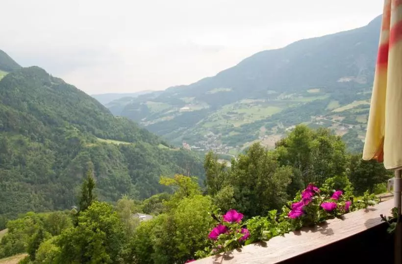 Ausservogelweiderhof