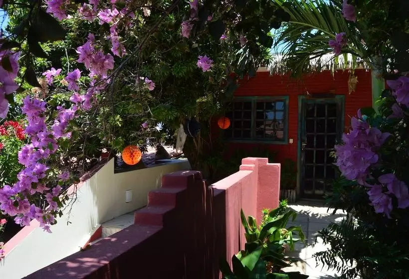 ホテル Pousada Castelinho