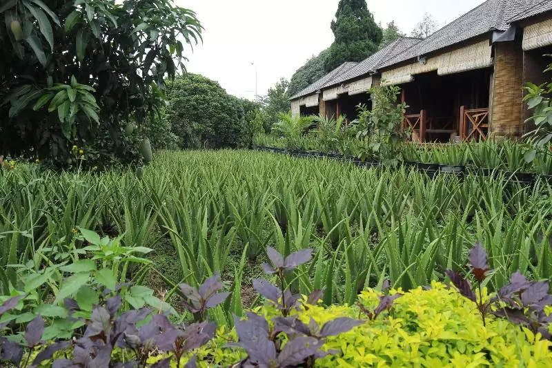 ホテル Puri Karang Besakih