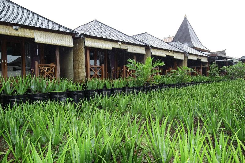 호텔 Puri Karang Besakih