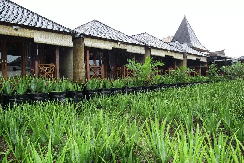 ホテル Puri Karang Besakih