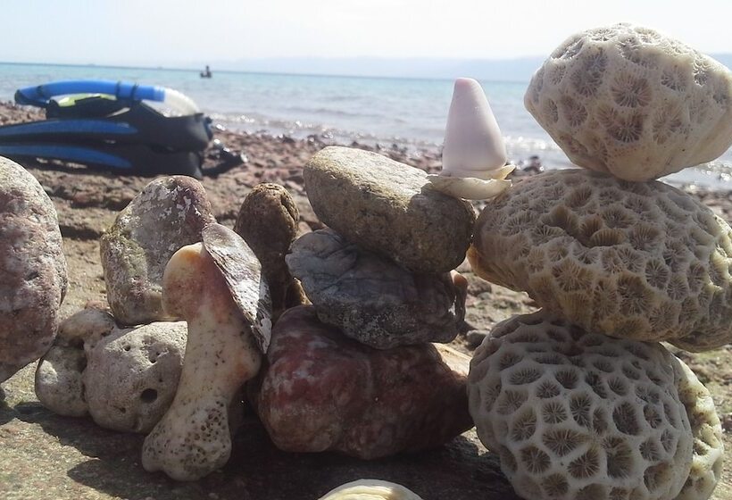 هتل Southern Star Club