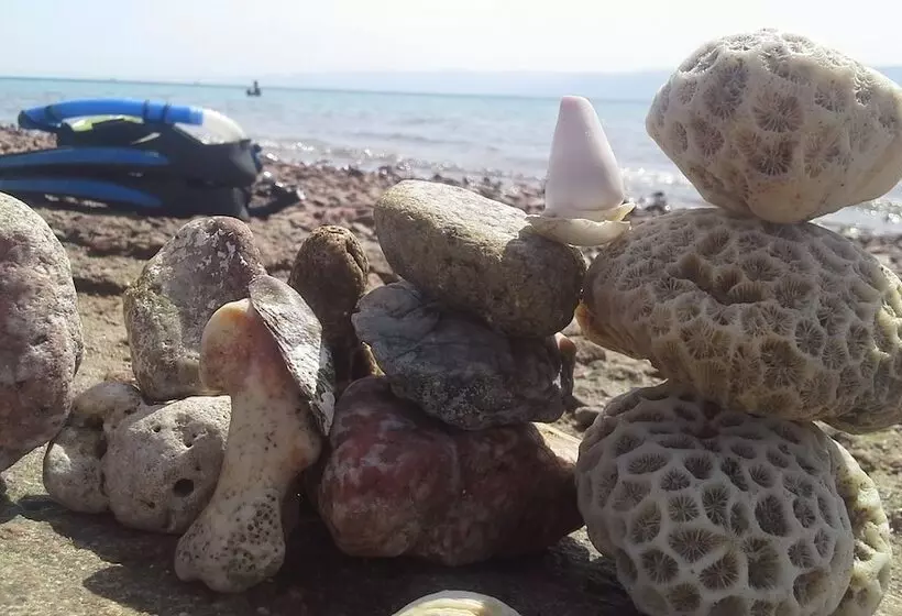 هتل Southern Star Club