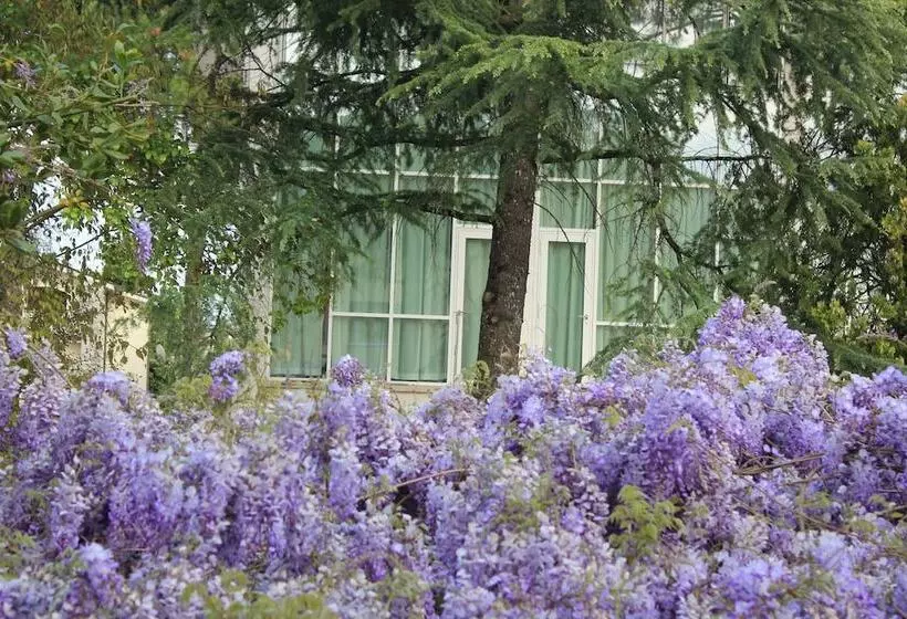 簡易ホテル Summa Resort