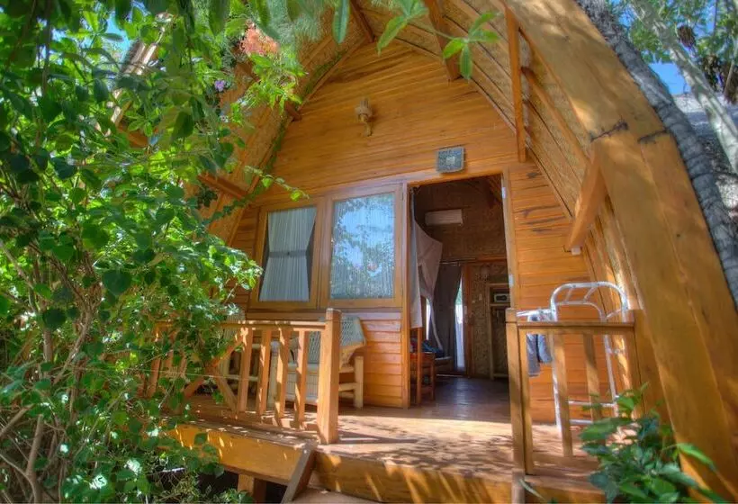 ホテル Damai Bungalows