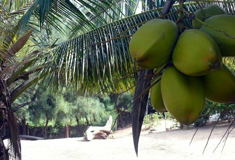 هتل Hôtel Atlantic Abéné