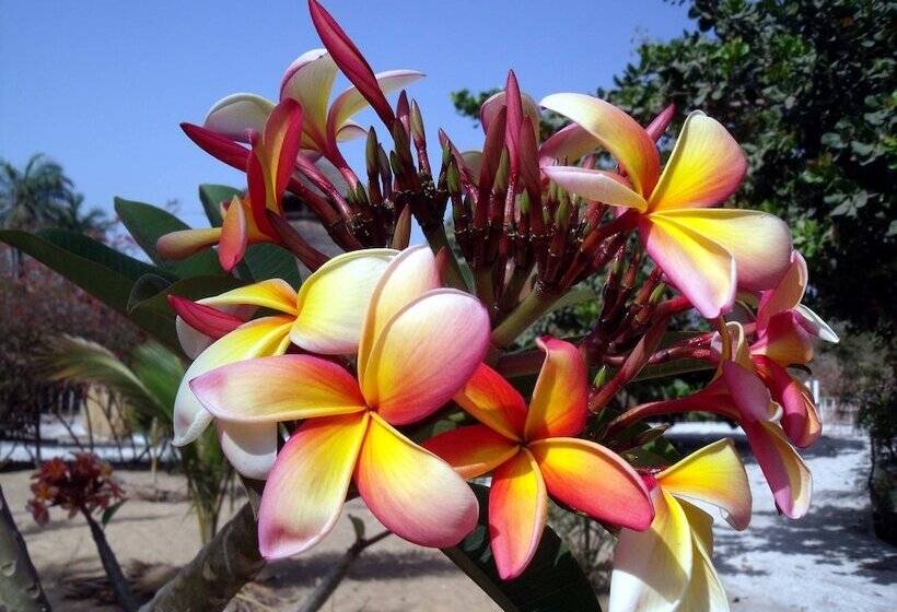 هتل Hôtel Atlantic Abéné