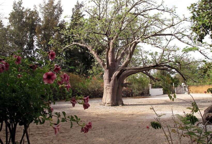 هتل Hôtel Atlantic Abéné