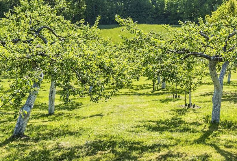 酒店 Narie Resort & Spa