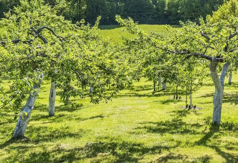 Hotelli Narie Resort & Spa