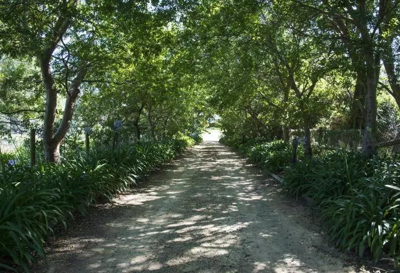 Portsea Ponderosa