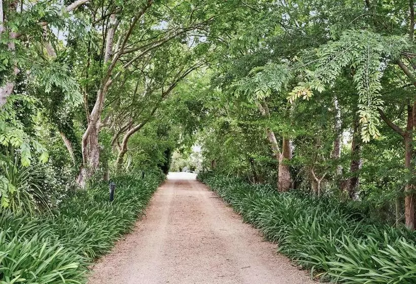 Portsea Ponderosa