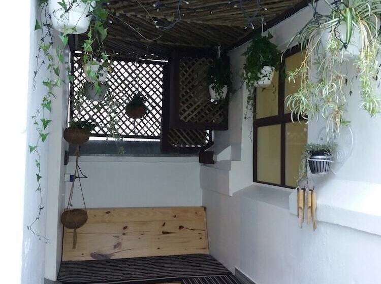 הוסטל Urban Hive Backpackers