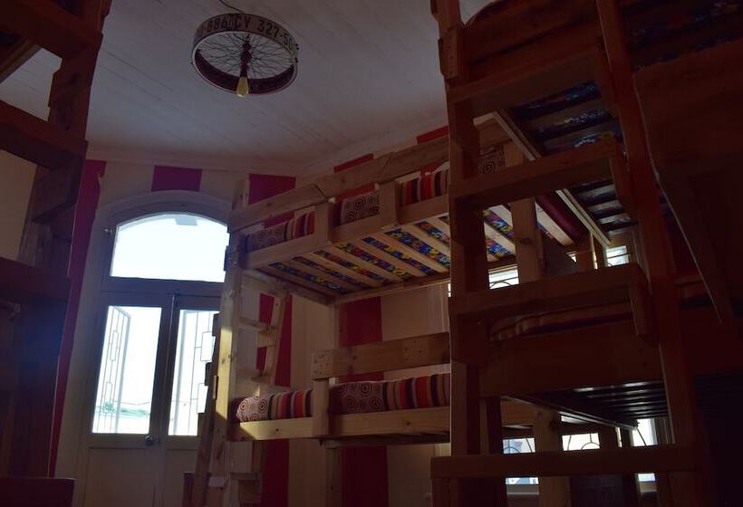 הוסטל Urban Hive Backpackers