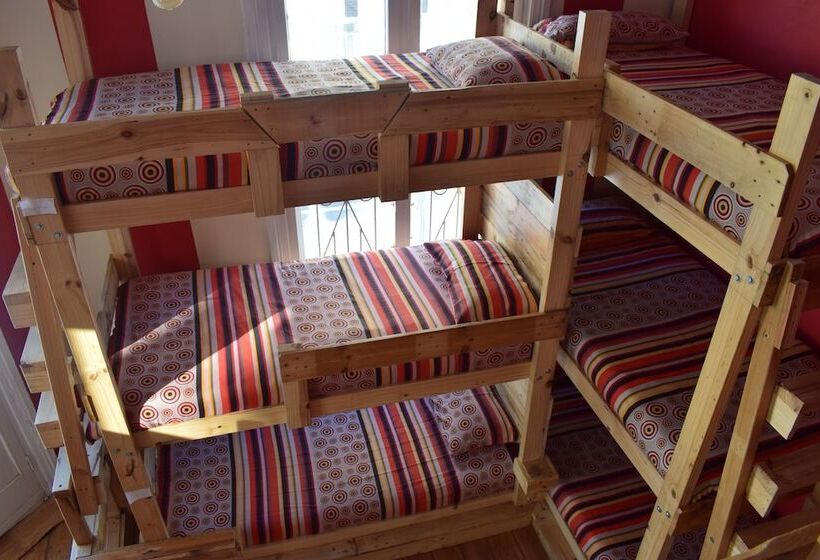 הוסטל Urban Hive Backpackers