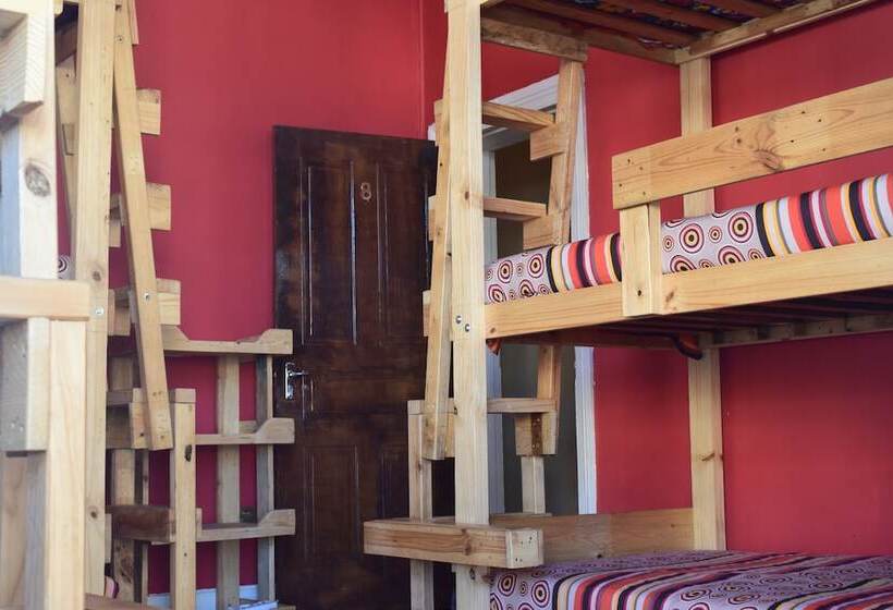 הוסטל Urban Hive Backpackers