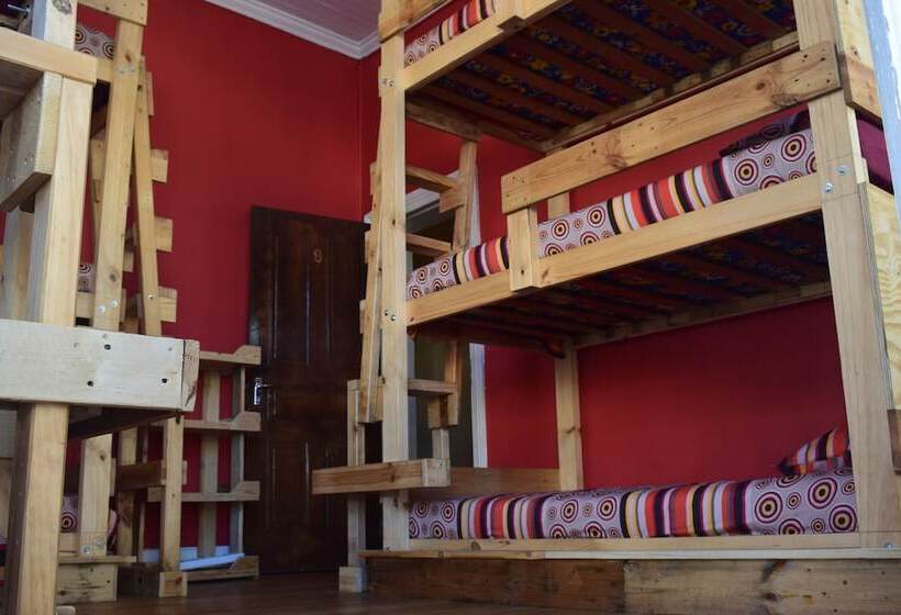 הוסטל Urban Hive Backpackers