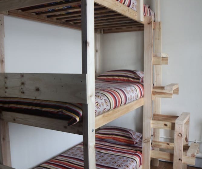 הוסטל Urban Hive Backpackers