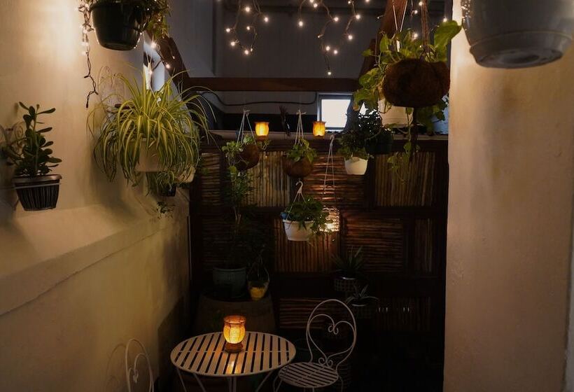 הוסטל Urban Hive Backpackers