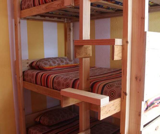 הוסטל Urban Hive Backpackers