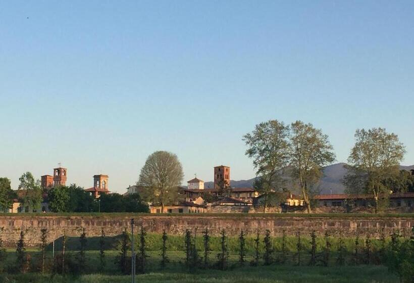 تختخواب و صبحانه La Butterfly Relais