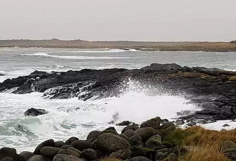 Harbour View