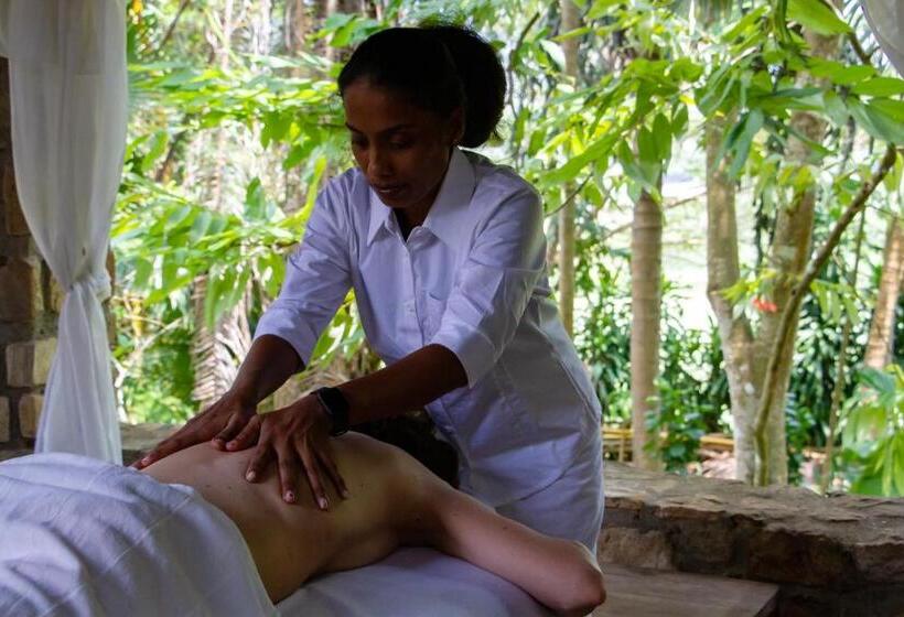 Отель Bougainvillea Retreat