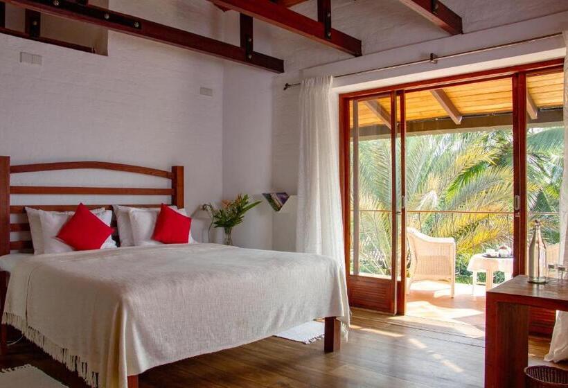 Отель Bougainvillea Retreat